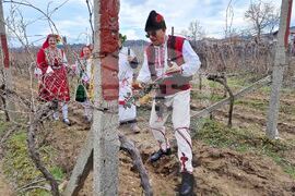 Петрич - зарязване на лозята - ритуал
