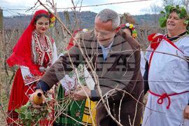 Петрич - зарязване на лозята - ритуал