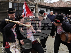Добрич - Ден на лозаря - Трифон Зарезан