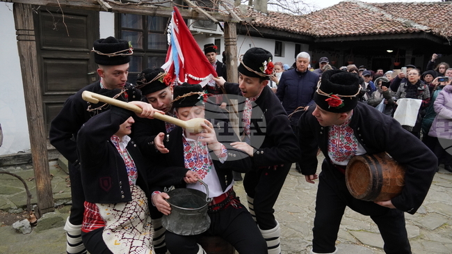 Празникът на лозарите и винарите ще бъде отбелязан с ритуално зарязване на лозите в Генерал Тошево, Добрич, Каварна и Шабла утре