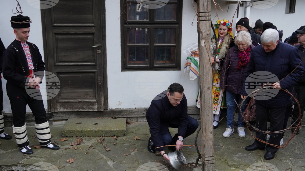 Добрич - Ден на лозаря - Трифон Зарезан