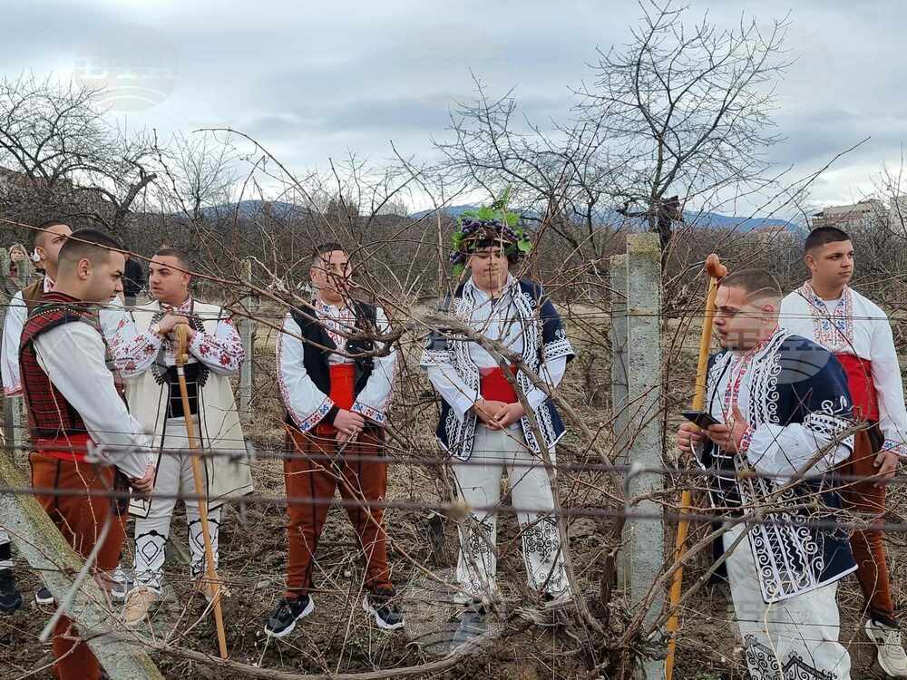 С тържествен ритуал Професионалната гимназия по селско стопанство "Св. Климент Охридски" в Кюстендил отбеляза Трифон Зарезан