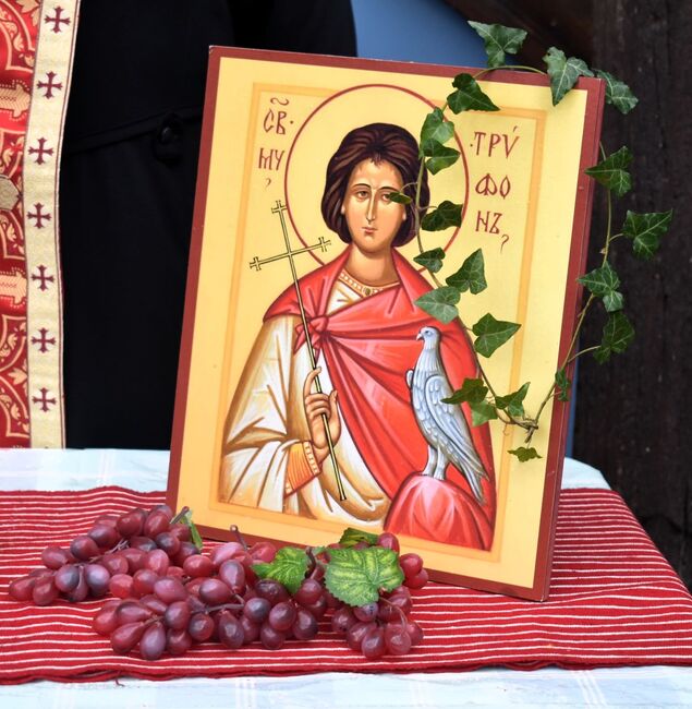 Асеновград отпразнува Трифон Зарезан