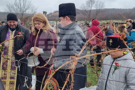 Сухиндол - лози - зарязване