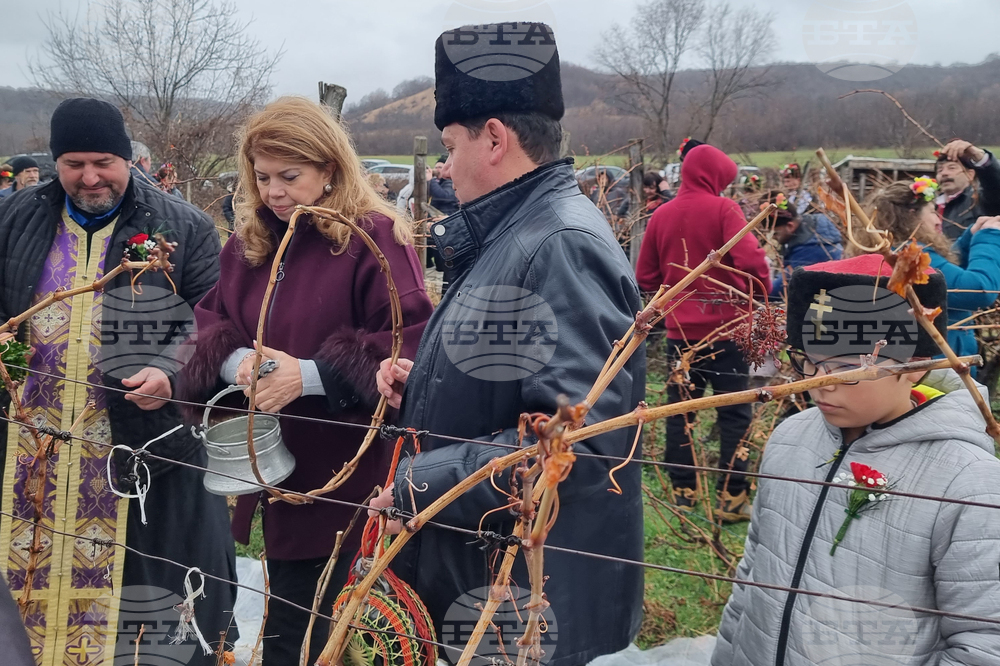 Вицепрезидентът Илияна Йотова ще бъде гост днес на празника на виното в село Делчево, посветен на Трифон Зарезан