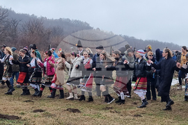 Сухиндол - лози - зарязване