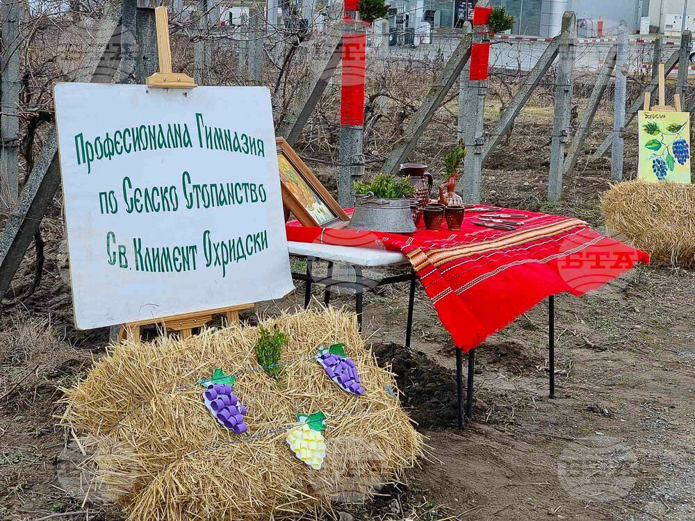Кюстендилско училище ще отбележи седмицата на лозаря