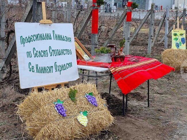 Кюстендилско училище ще отбележи седмицата на лозаря
