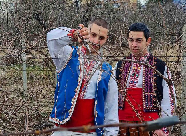 Кюстендил - Трифон Зарезан - зарязване - ученици