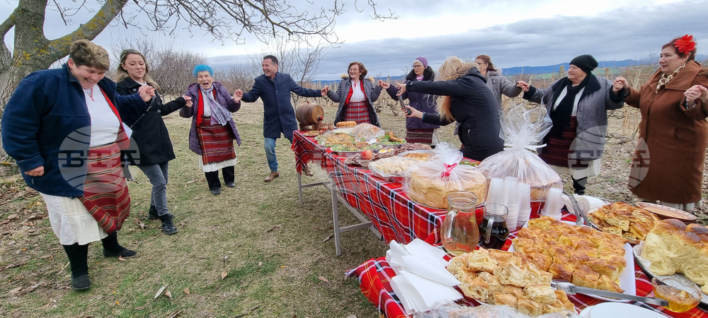 Село Ивански - зарязване на лозя