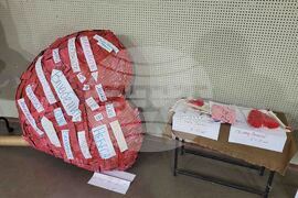 Самоков - Младежки дом - награждаване