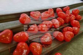 Самоков - Младежки дом - награждаване