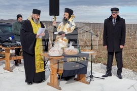 Село Покрайна - Румен Радев - посещение - зарязване на лозята