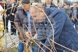 Село Покрайна - Румен Радев - посещение - зарязване на лозята