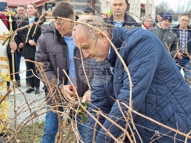 Село Покрайна - Румен Радев - посещение - зарязване на лозята