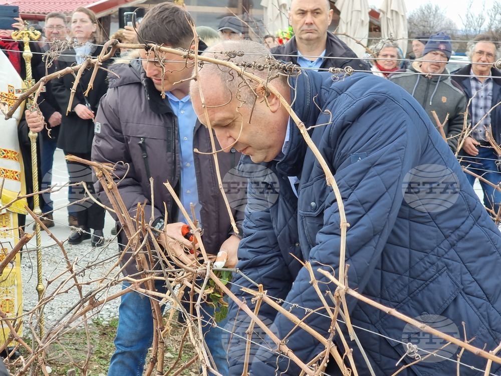 Село Покрайна - Румен Радев - посещение - зарязване на лозята