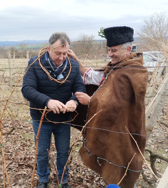 Кметът на Шумен и екипът му отбелязаха празника на лозарите и винарите 