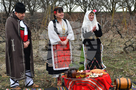 Село Конево - Трифон Зарезан - възстановка