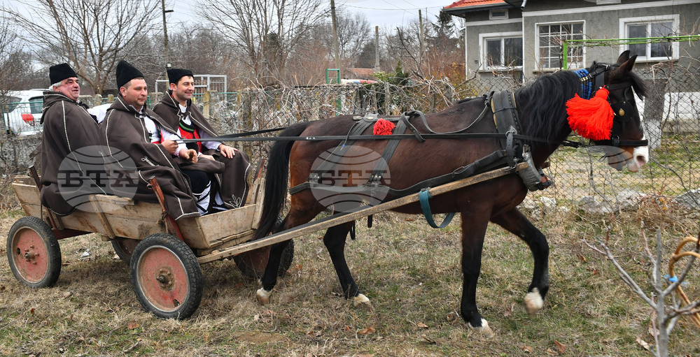 Село Конево - Трифон Зарезан - възстановка