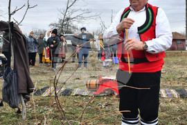 Село Конево - Трифон Зарезан - възстановка