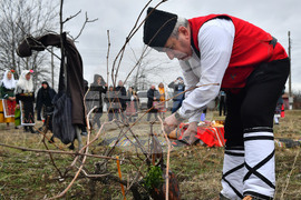 Село Конево - Трифон Зарезан - възстановка