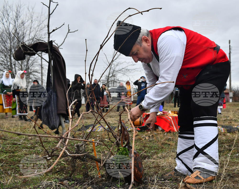 Село Конево - Трифон Зарезан - възстановка