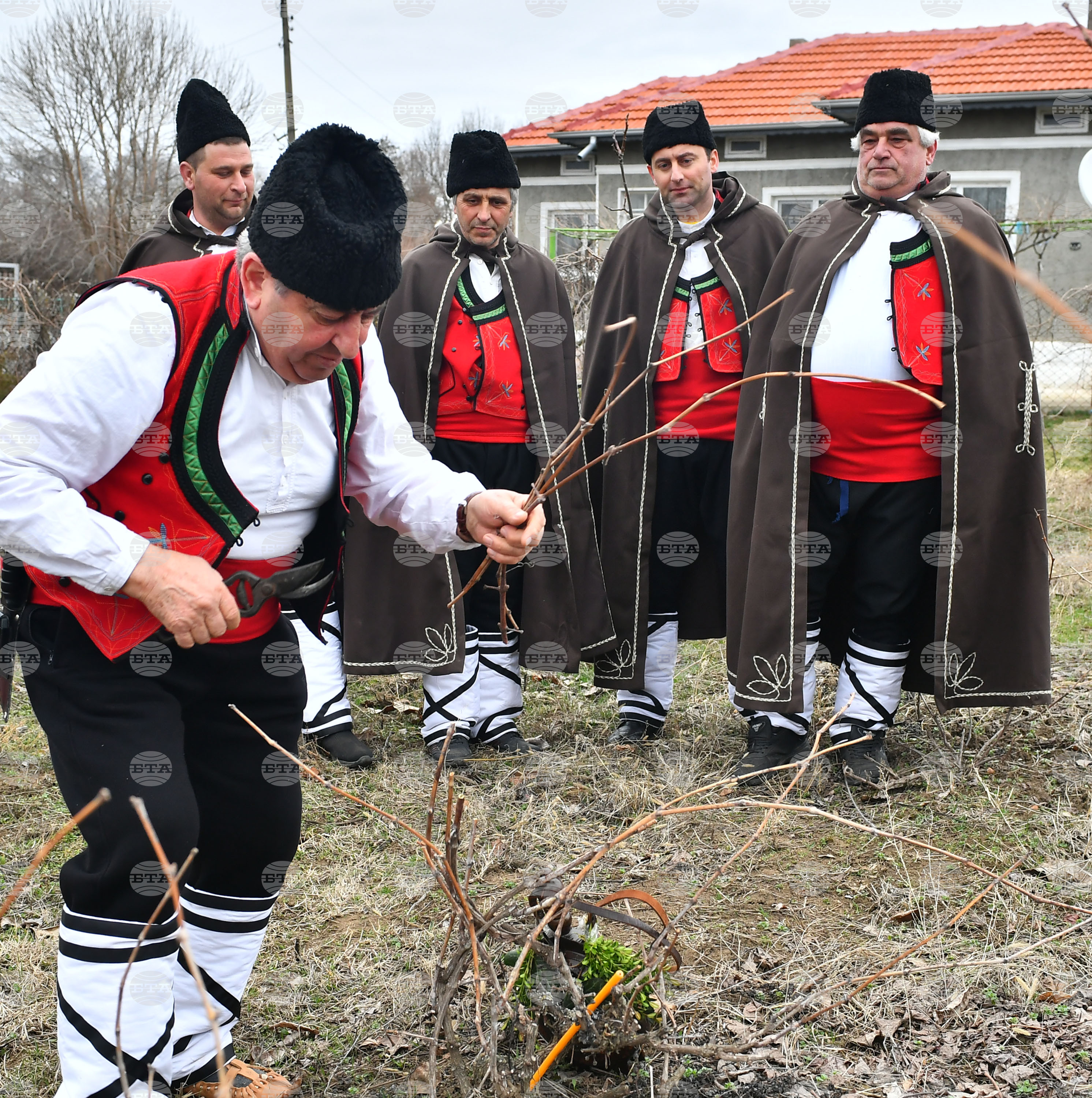 Село Конево - Трифон Зарезан - възстановка