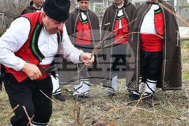 Село Конево - Трифон Зарезан - възстановка