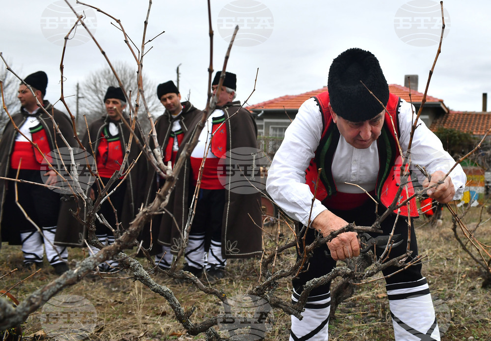 Село Конево - Трифон Зарезан - възстановка