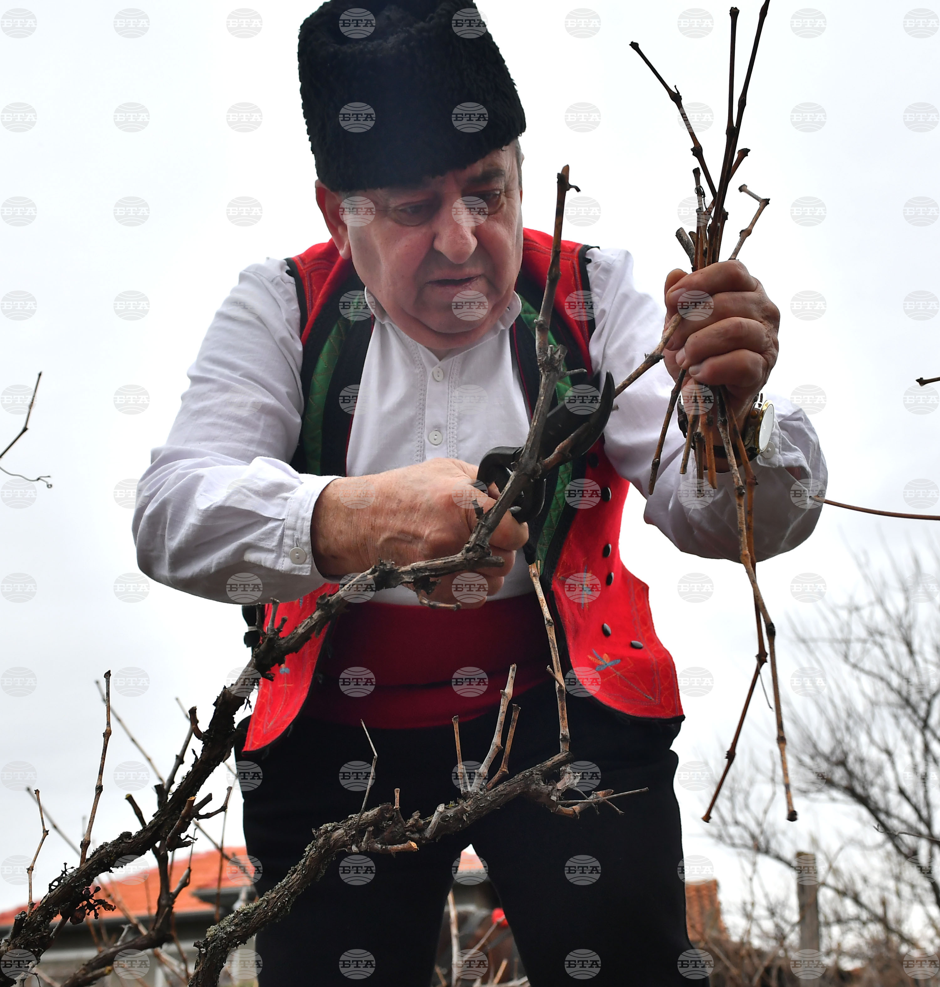 Село Конево - Трифон Зарезан - възстановка