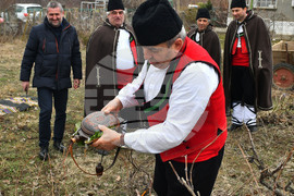Село Конево - Трифон Зарезан - възстановка