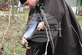 Село Конево - Трифон Зарезан - възстановка