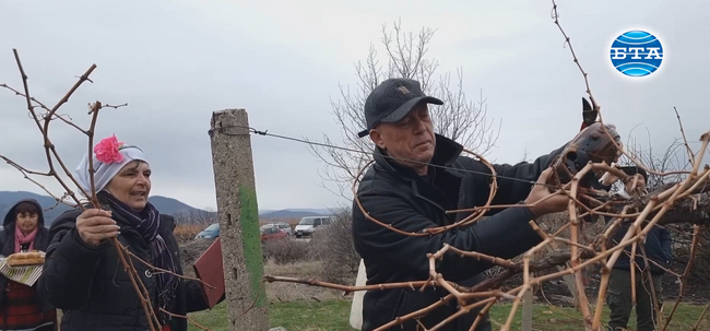 С молитва и хоро отбелязаха Трифон Зарезан в село Сусам