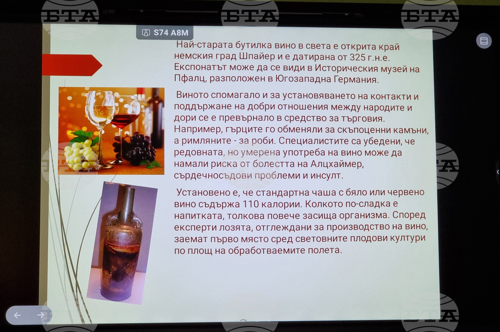 Мездра - Професионална гимназия „Алеко Константинов“ - празник - отбелязване