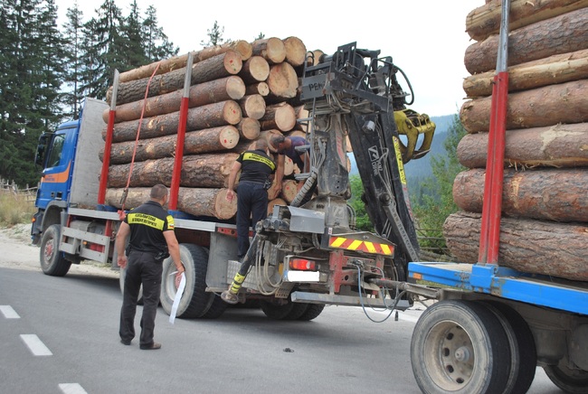 Една четвърт повече проверки са направили горските инспектори през първото шестмесечие на 2022 г. в сравнение със същия период на предходната година