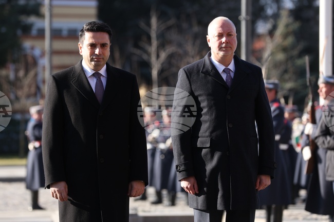 Паметник на незнайния воин - Ален Симонян - официално посещение