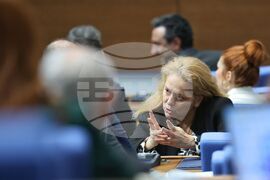 Парламент - заседание