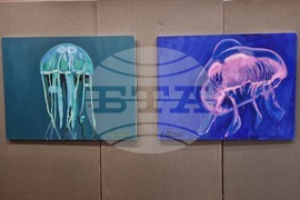 Видин - Богдан Александров - „Протоколи“ - изложба