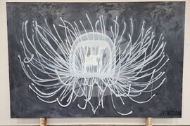 Видин - Богдан Александров - „Протоколи“ - изложба