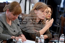 Парламент - Комисия по въпросите на Европейския съюз, Шенгенското пространство и Еврозоната