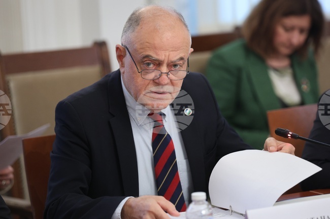 Народно събрание - временна комисия - БФС - протест