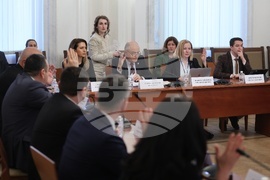 Народно събрание - временна комисия - БФС - протест