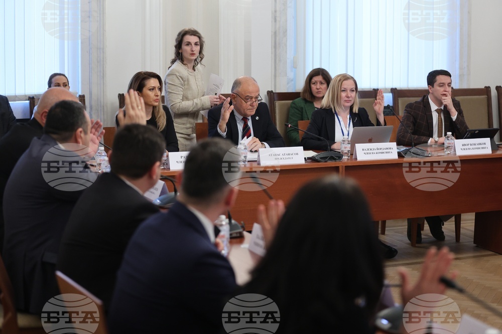 Народно събрание - временна комисия - БФС - протест