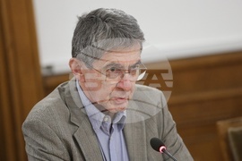 Парламент - Временна комисия за проверка на факти и обстоятелства, свързани с дейността на групата около Мартин Божанов