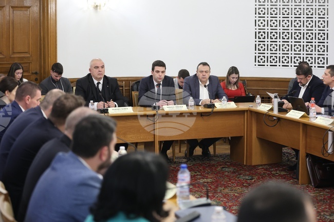 Парламент - Временна комисия за проверка на факти и обстоятелства, свързани с дейността на групата около Мартин Божанов