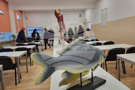 Самоков - Спортно училище "Никола Велчев" - кабинет - откриване