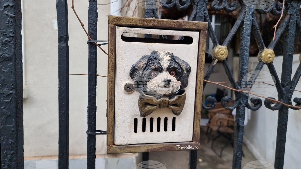 "Happy Mailbox Street" Brings Joy in Bucharest