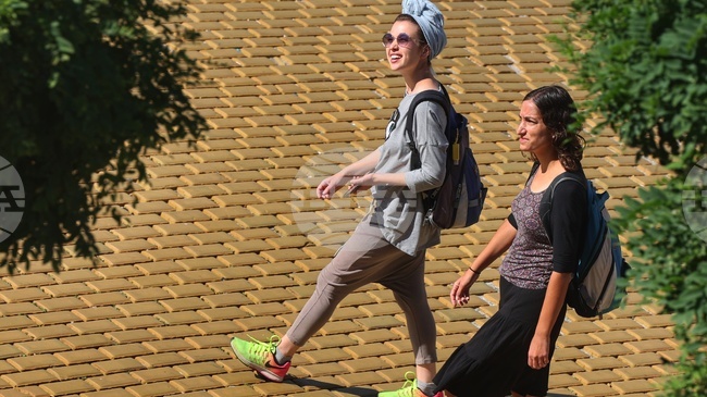 Young People In Bulgaria Aged 15-29 Total Nearly 1 Million, Only One in Three Is Employed – National Statistical Institute