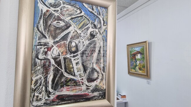 Перник - изложба на художниците водолеи