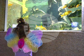 Варна - Аквариум - Ден на отворени врати